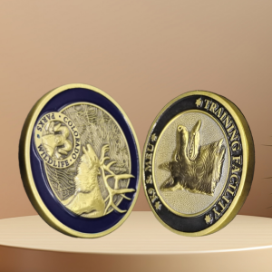 3D Soft Enemal Coin